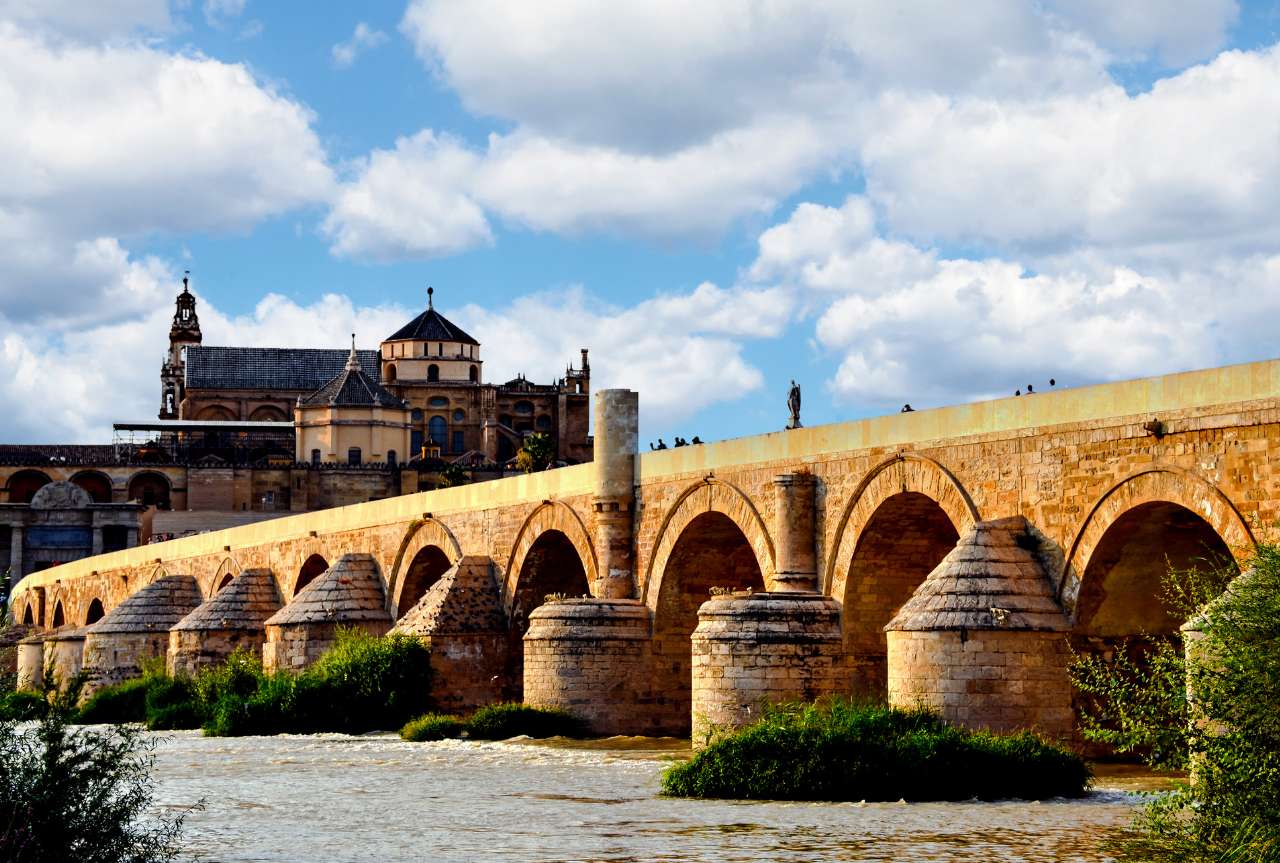 Alquiler de coche con conductor en Córdoba