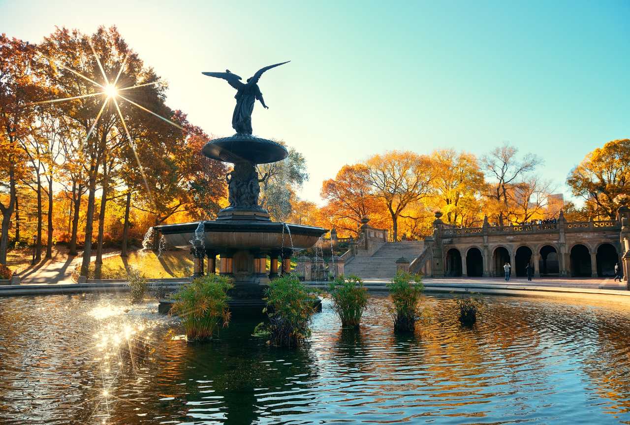 Central Park e 5th Avenue